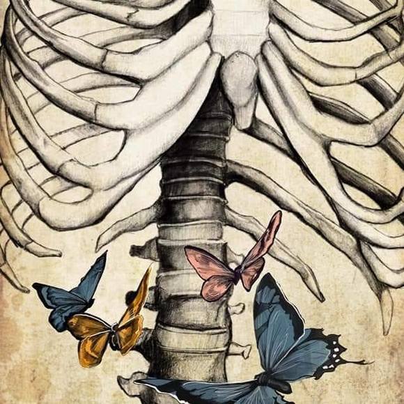 Meet your Posher, Crystal - Picture 1 of 1